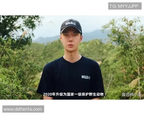 从青涩少年到篮球巨星的蜕变之路与奋斗故事